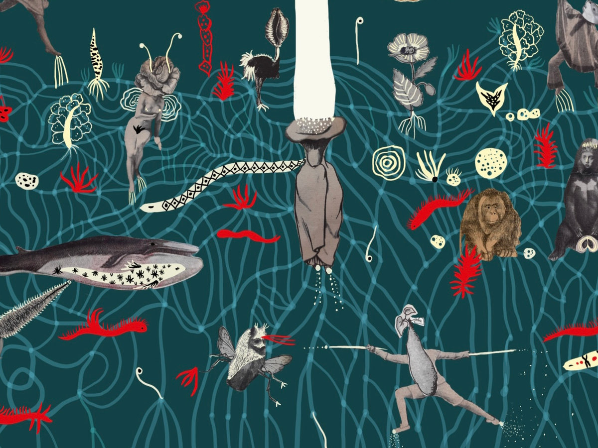 MOTH — More-Than-Human Life Gathering