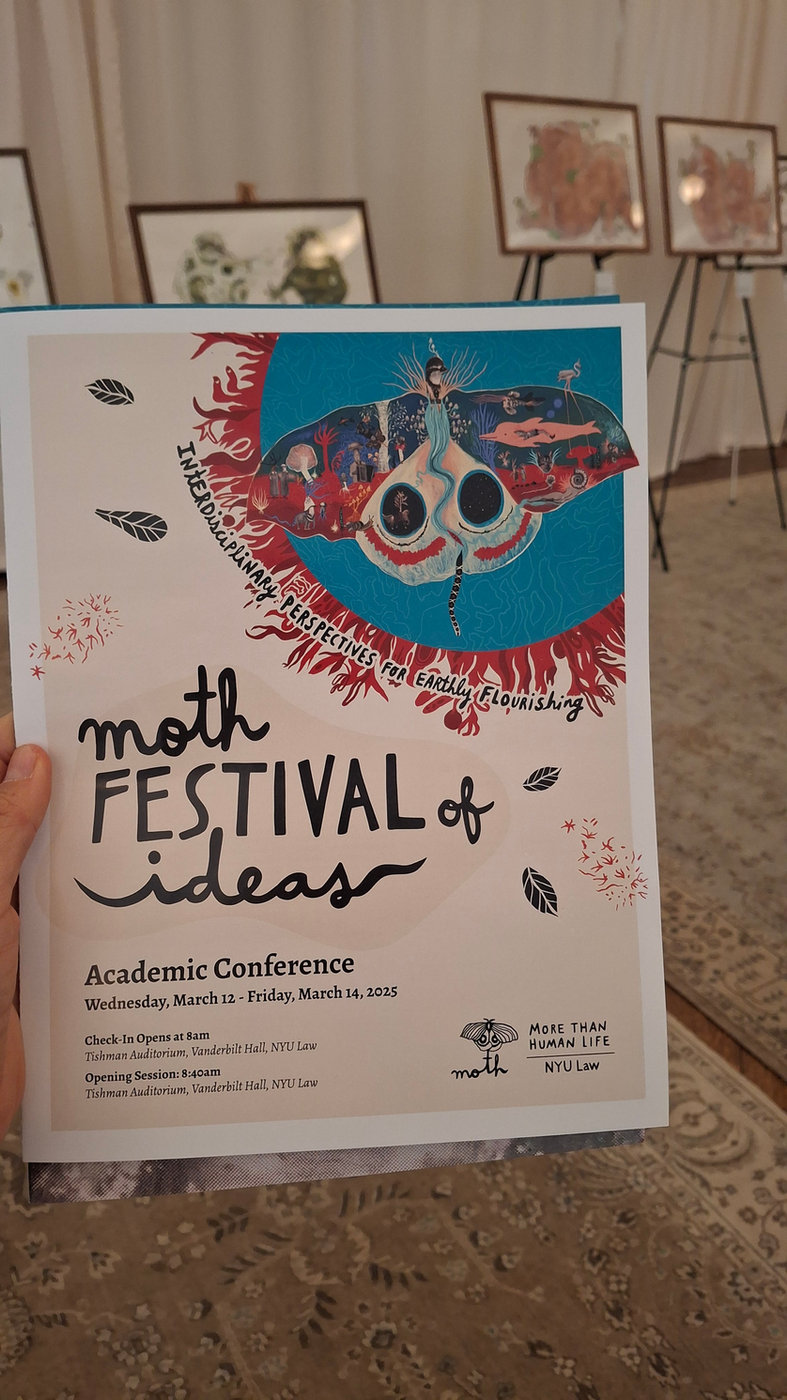 MOTH Festival of Ideas — 7